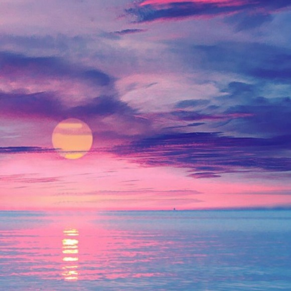 Meet your Posher, Priscilla - Picture 1 of 1